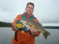 Bass