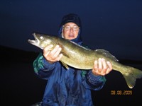 Walleye